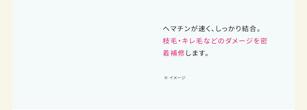 ヘマチンが速く、しっかり結合。枝毛・キレ毛などのダメージを密着補修します。