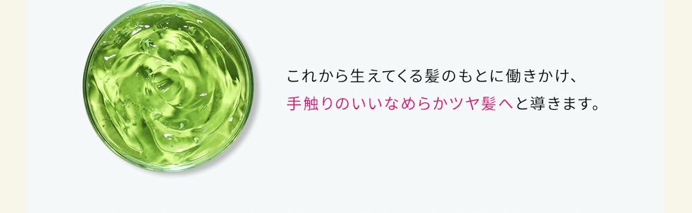 これから生えてくる髪のもとに働きかけ、手触りのいいなめらかツヤ髪へと導きます。