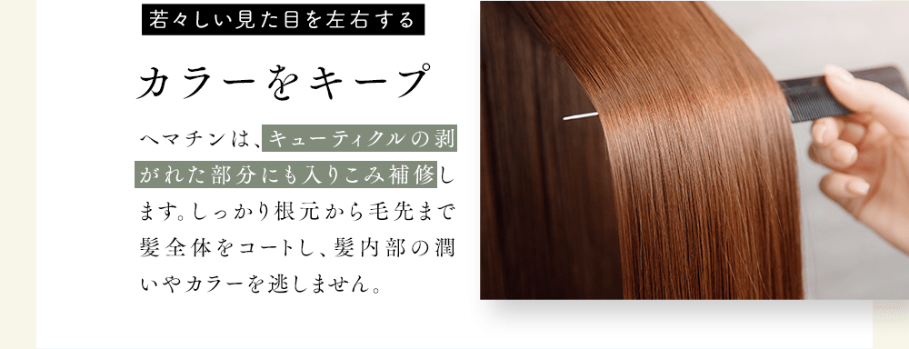 ヘマチンは、キューティクルの剥がれた部分にも入りこみ補修します。しっかり根元から毛先まで髪全体をコートし、髪内部の潤いやカラーを逃しません。