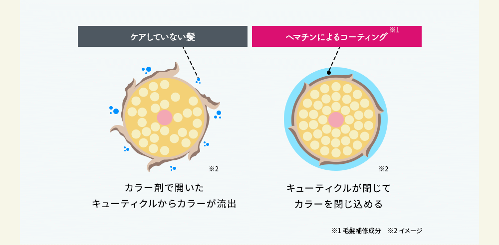 ケアしていない髪、ヘマチンによるコーティング※１カラー剤で開いたキューティクルからカラーが流出　キューティクルが閉じてカラーを閉じ込める※1毛髪補修成分　※2イメージ